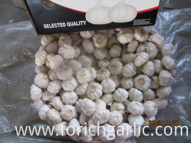 2019 Best Quality Pure White Garlic